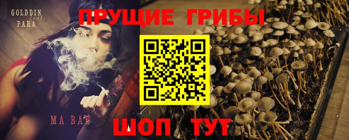 Похвистнево  Галлюциногенные грибы мицелий  Вход с VPN 